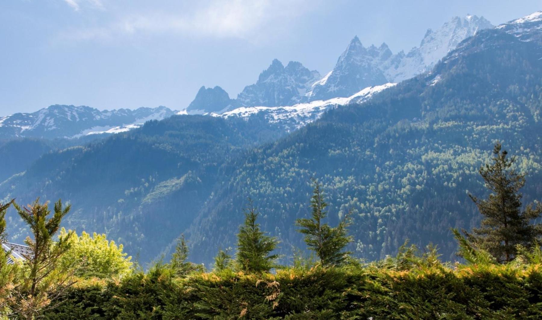 Villa Floria Apartment Chamonix Mont Blanc Exterior foto